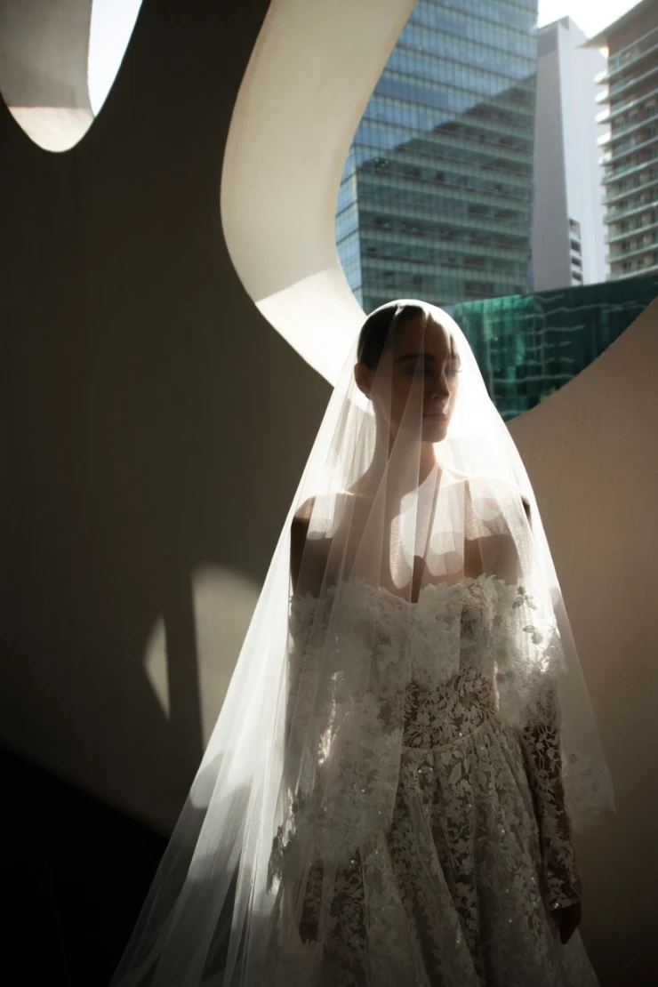 The Amber Collection Backface Thumbnail Image