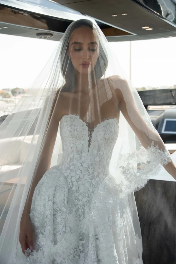 The Amber Collection Backface Thumbnail Image